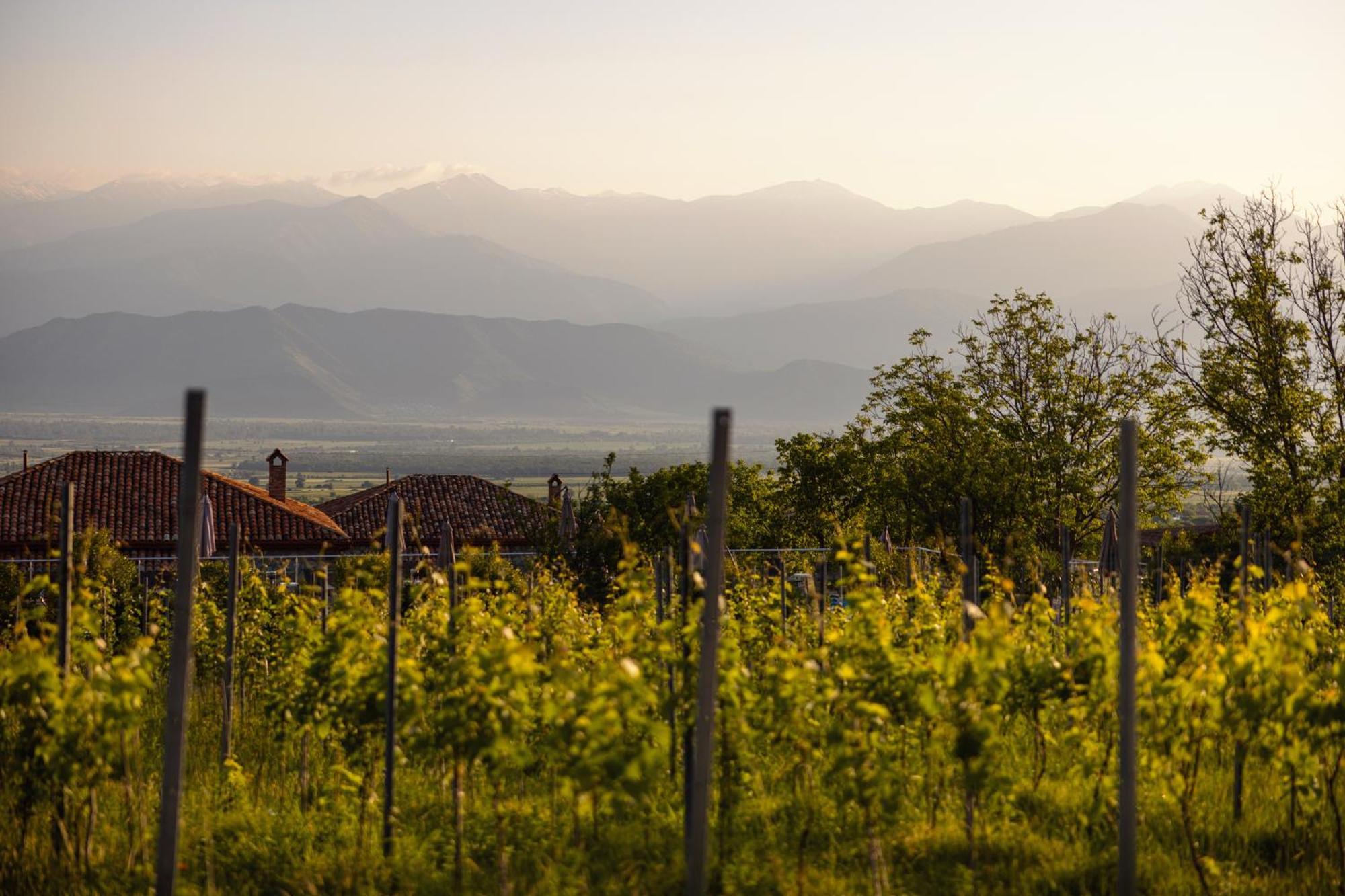 Schuchmann Wines Château,Villas&SPA Telavi Exterior foto